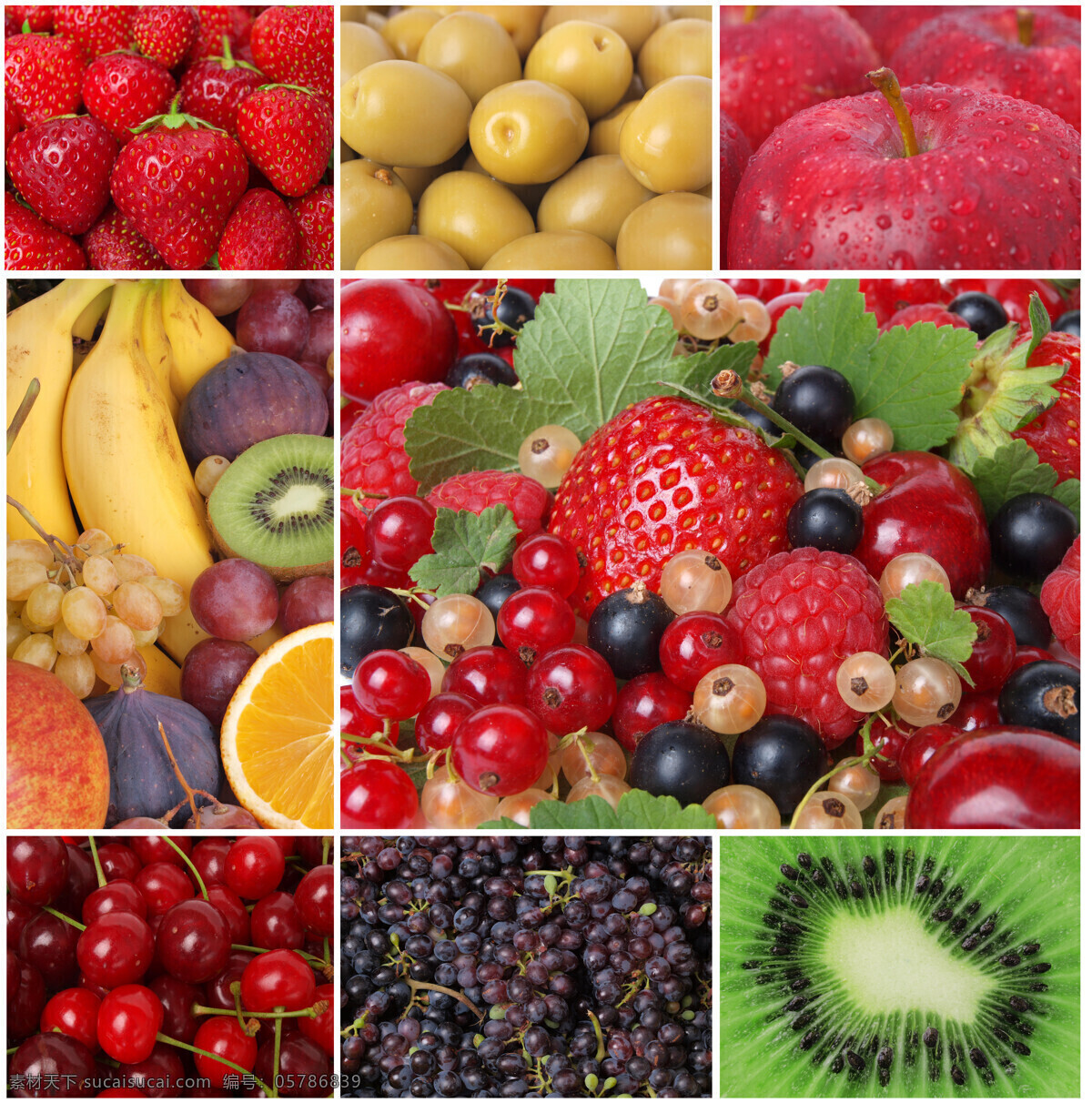 新鲜 水果 背景 底纹 草莓 香蕉 橄榄 苹果 樱桃 猕猴桃 葡萄 新鲜水果背景 水果图片 餐饮美食