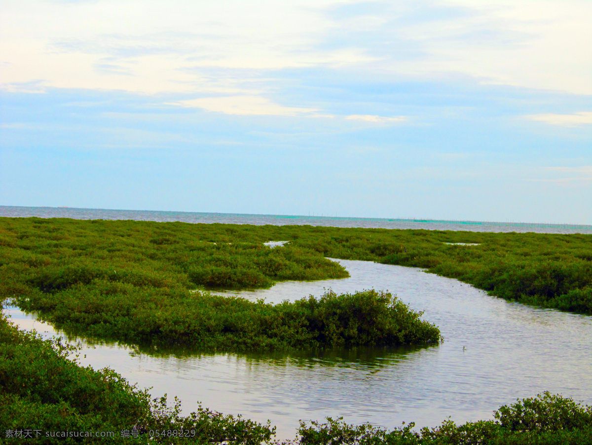 红树林湿地 天海一色 碧海蓝天 茫茫 l 绿色 原野 天际 国内旅游 旅游摄影