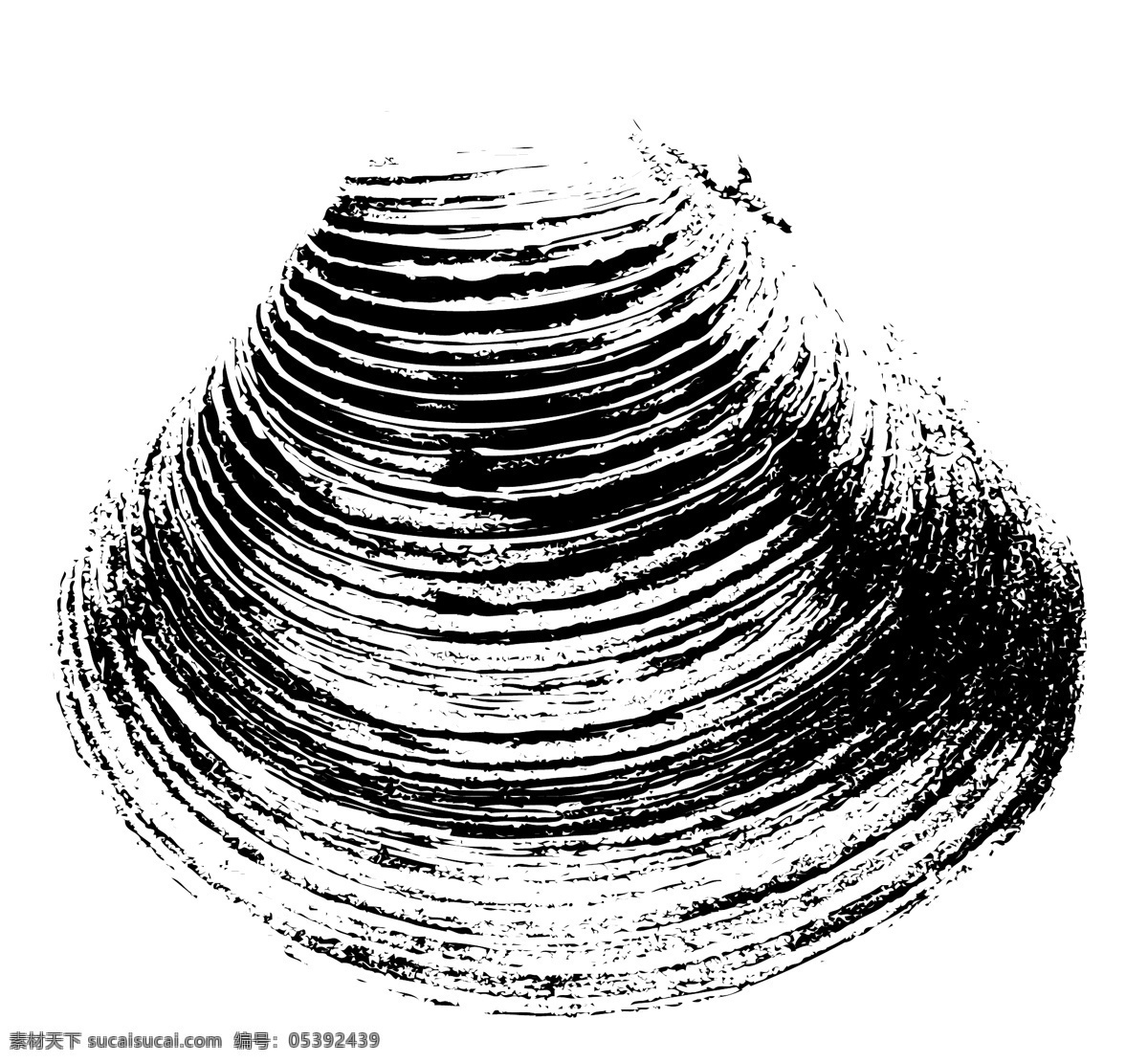 拓印免费下载 贝壳 贝壳图片 海螺 拓印 贝壳类 矢量图 其他矢量图