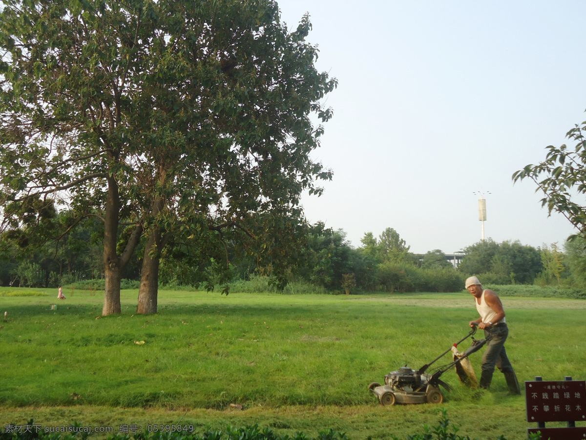 割草的工人 割草机 戴头巾 工人 绿草坪 大树 夏天 请勿践踏 牌子 公园 自然景观 自然风景