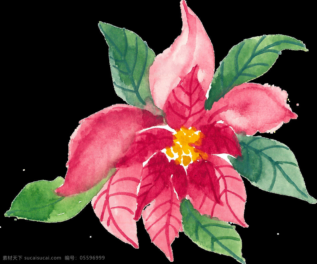 红色 纹理 植物 透明 卡通 抠图专用 装饰 设计素材