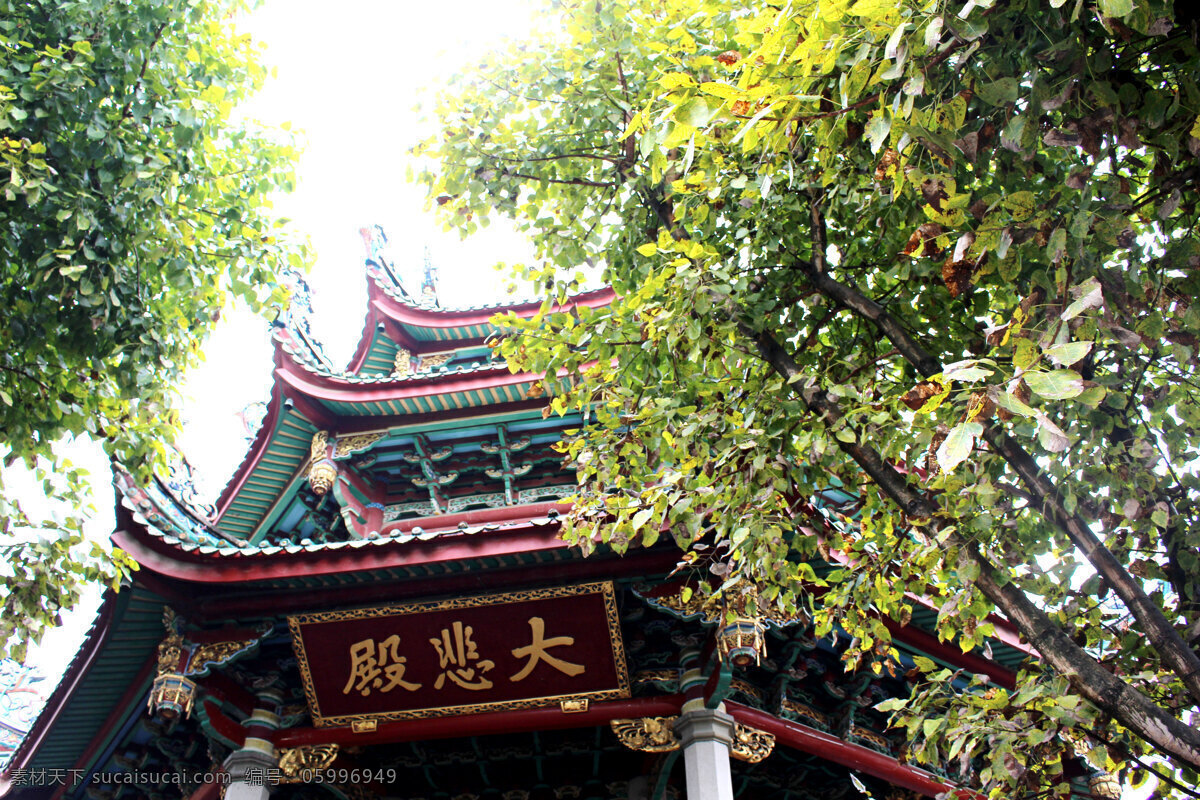 夏门 曾厝垵 南普陀寺 凉亭 湖水 树 旅行 建筑 旅游 树木 植物 大悲殿 风景 旅游摄影 国内旅游