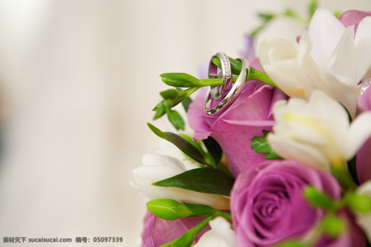 鲜花 上 戒 玫瑰花 结婚戒指 结婚首饰 婚礼主题 美丽鲜花 婚礼图片 生活百科