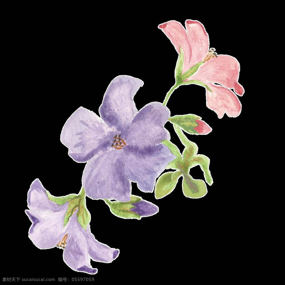 蓝紫 花束 卡通 透明 花蕊 紫色 透明素材 免扣素材 装饰图案