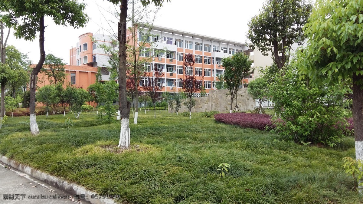 简阳 简阳中学 学校 教学楼建筑 学生时代 建筑园林 建筑摄影