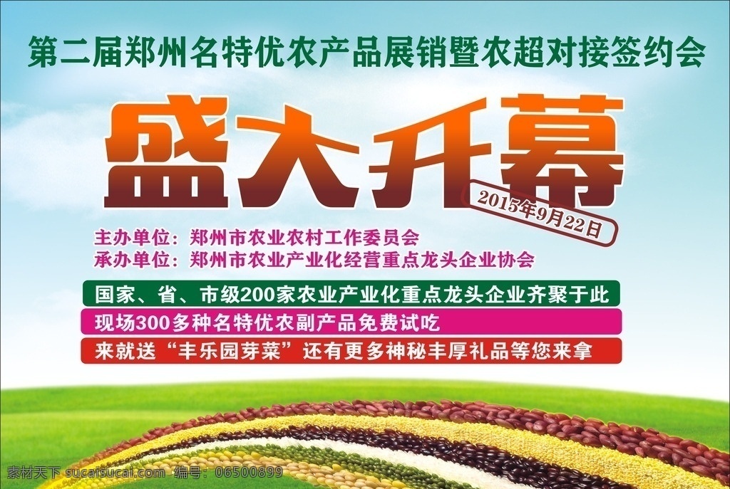 盛大开幕 农产品海报 dm宣传单 300pi 促销海报 绿色食品 农产品宣传单