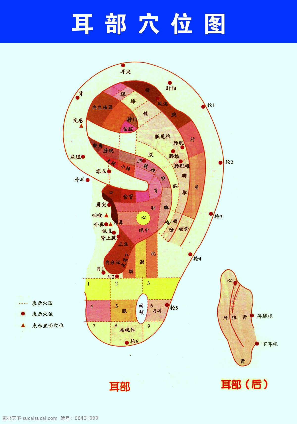 耳部穴位 耳部 穴位 现代科技 医疗护理 设计图库 女性 人物