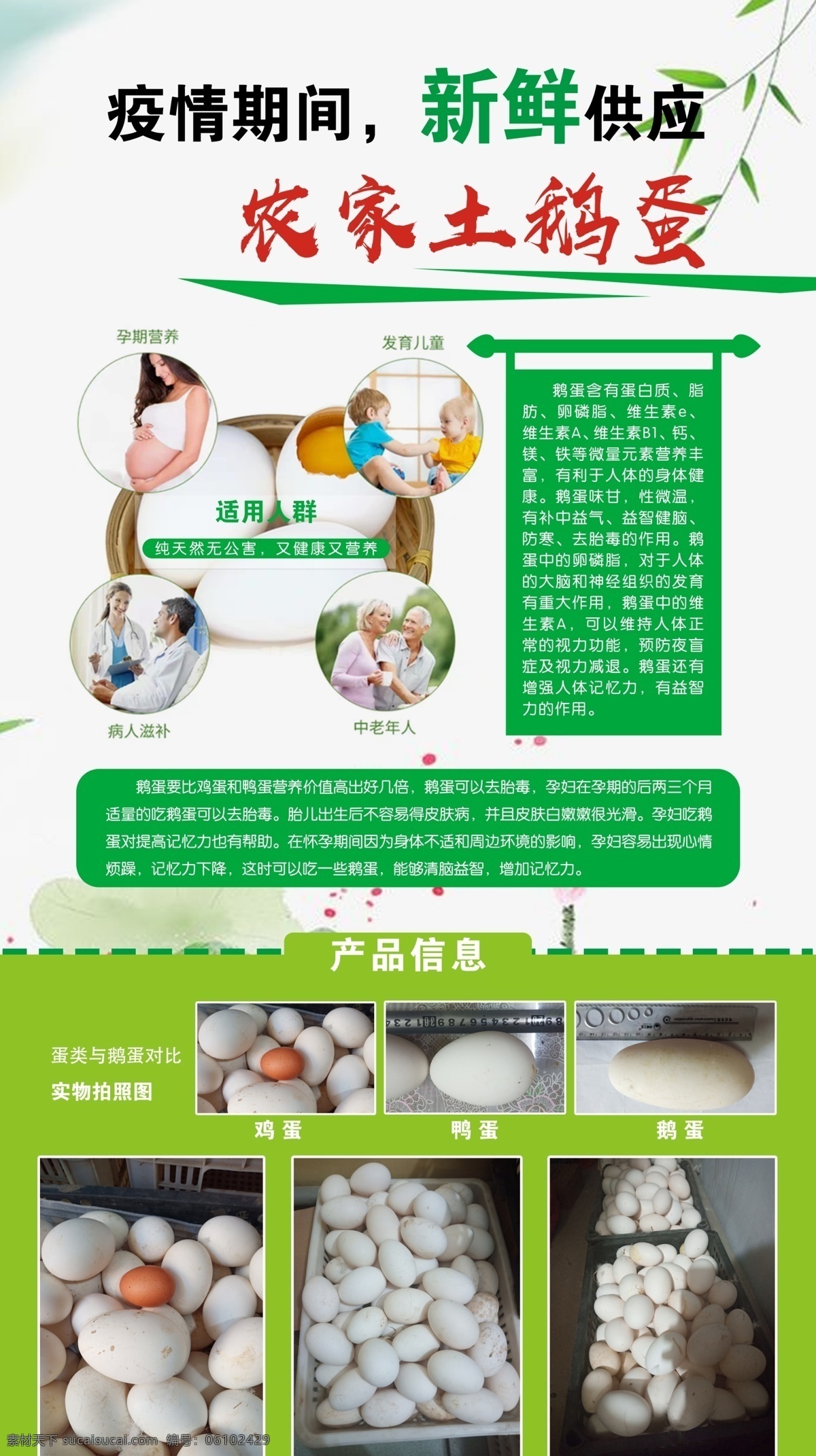 农家土鹅蛋 分层 ps 农家 鹅蛋 成果