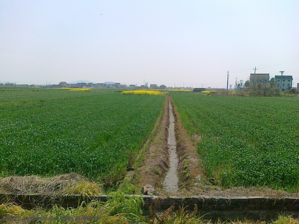乡间 田野 春天 春天风景 清明 田园风光 自然景观 乡间田野 绿色生机 清明时分 psd源文件