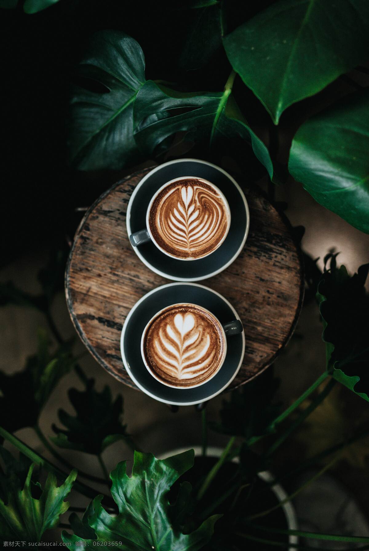 拍照 照片 拍摄 乳白色 咖啡豆 饮品 健康 美味 马克杯 木头 木板 特写 近距离 棕色 咖啡杯 植物 照片图片 餐饮美食 饮料酒水