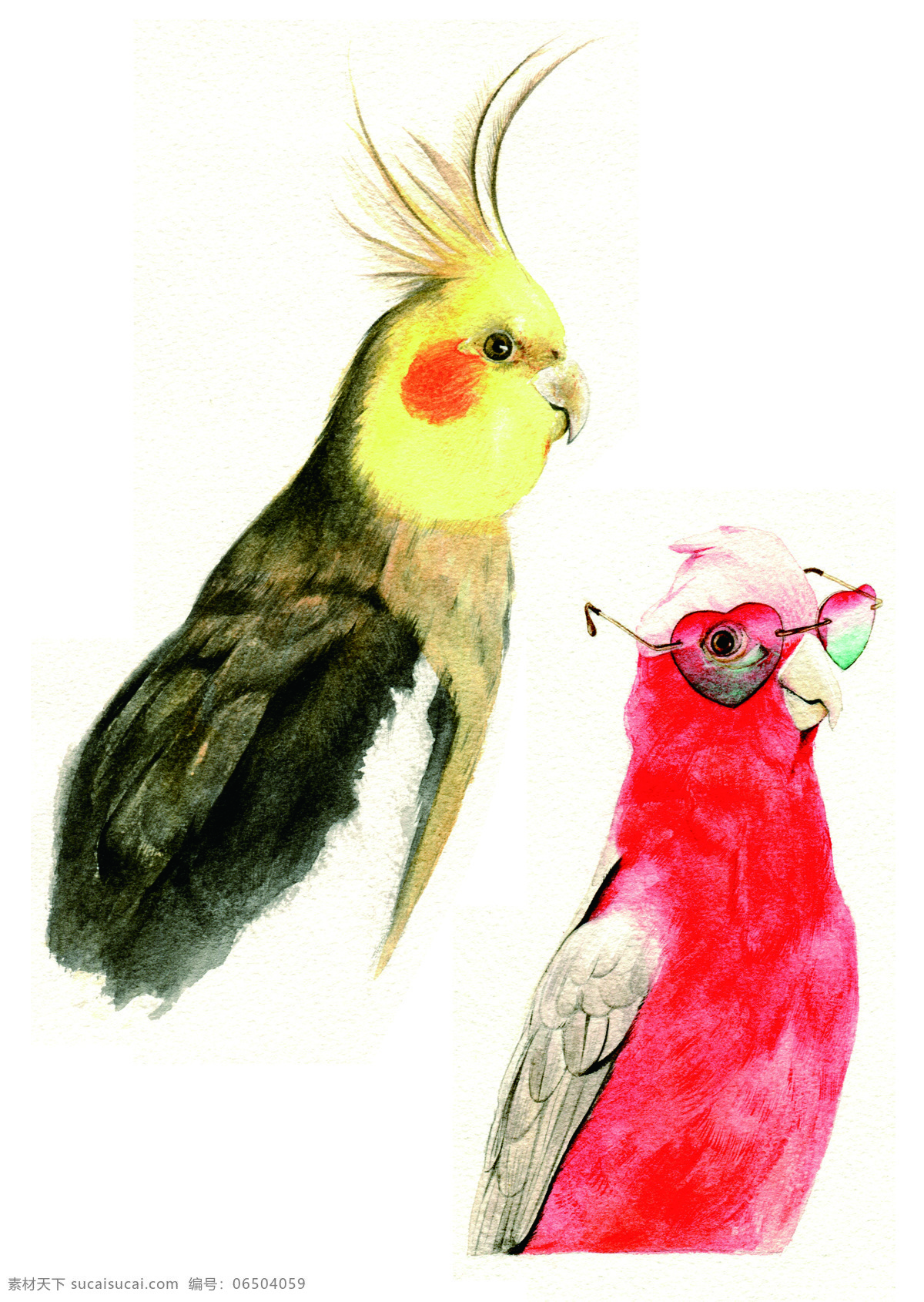 卡爱鹦鹉 手绘鹦鹉 卡通 动物 眼睛 俏皮 非主流 鸟类 共享图片 文化艺术 绘画书法