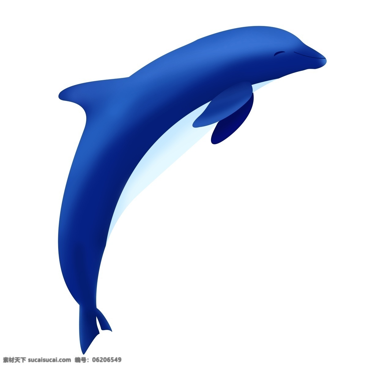 海洋生物 蓝色 海豚 海洋