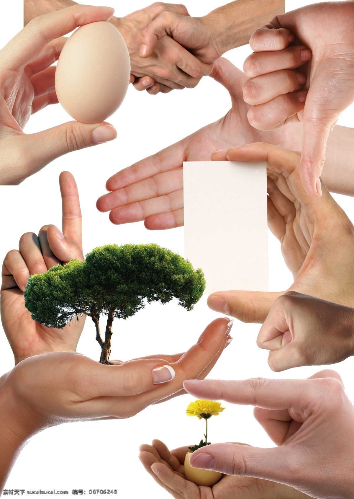 公益 手 手势 动作 捧着树的手 拿鸡蛋的手 拿花的手 握手 真棒 拳头 手指