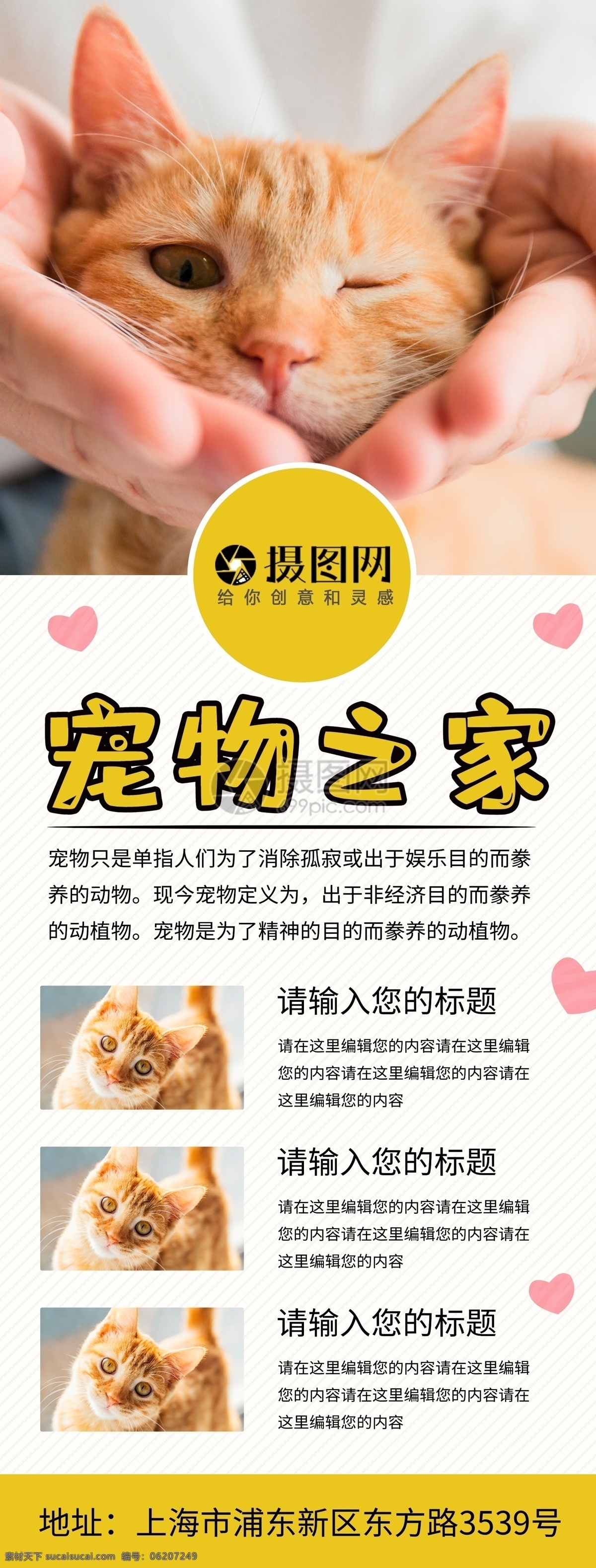 宠物宣传展架 宠物 动物 猫咪 展架 宣传展架 宠物展架 宠物之家 易拉宝