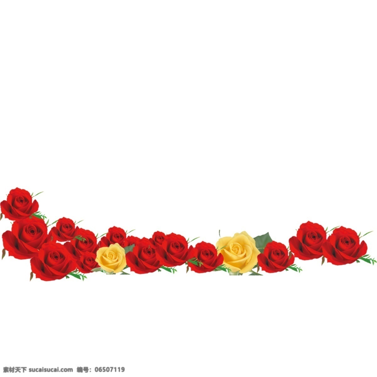 鲜花 红色 一朵花 免扣