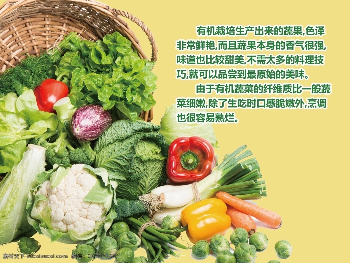 蔬菜 菜篮子 各种蔬菜 辣椒 菜花 大葱