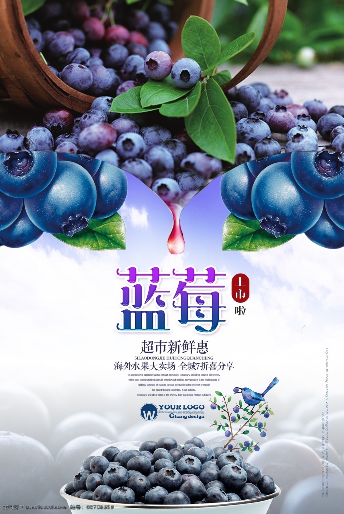 清新蓝莓海报 新鲜水果 水果海报 水果促销 蓝莓 水果蓝莓 水果宣传 进口水果 绿色食物