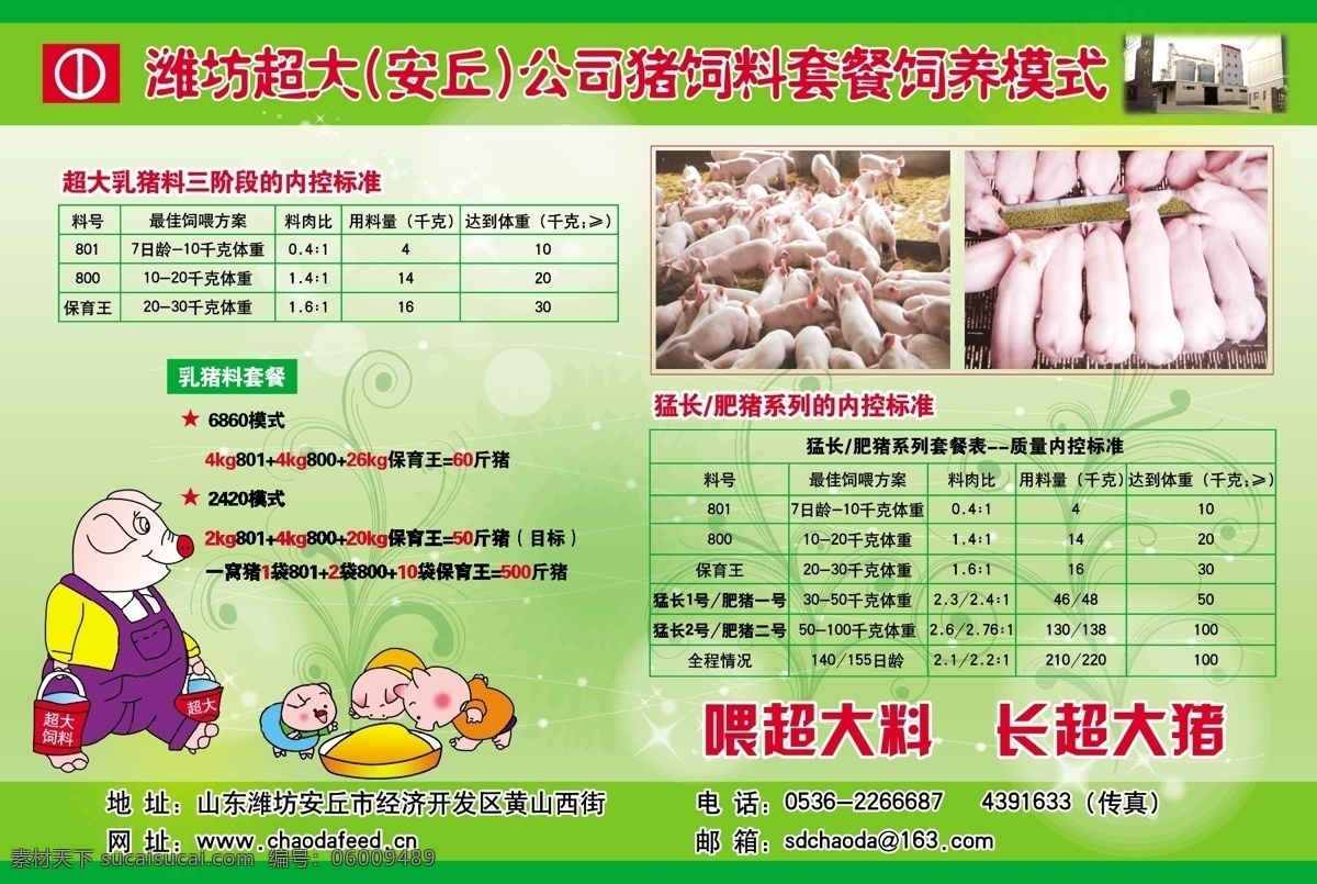 饲料海报 超大 饲料 猪 猪饲料 饲养 乳猪 肥猪 小猪 卡通猪 套餐 猪食 海报 动物 家畜 吃 矢量