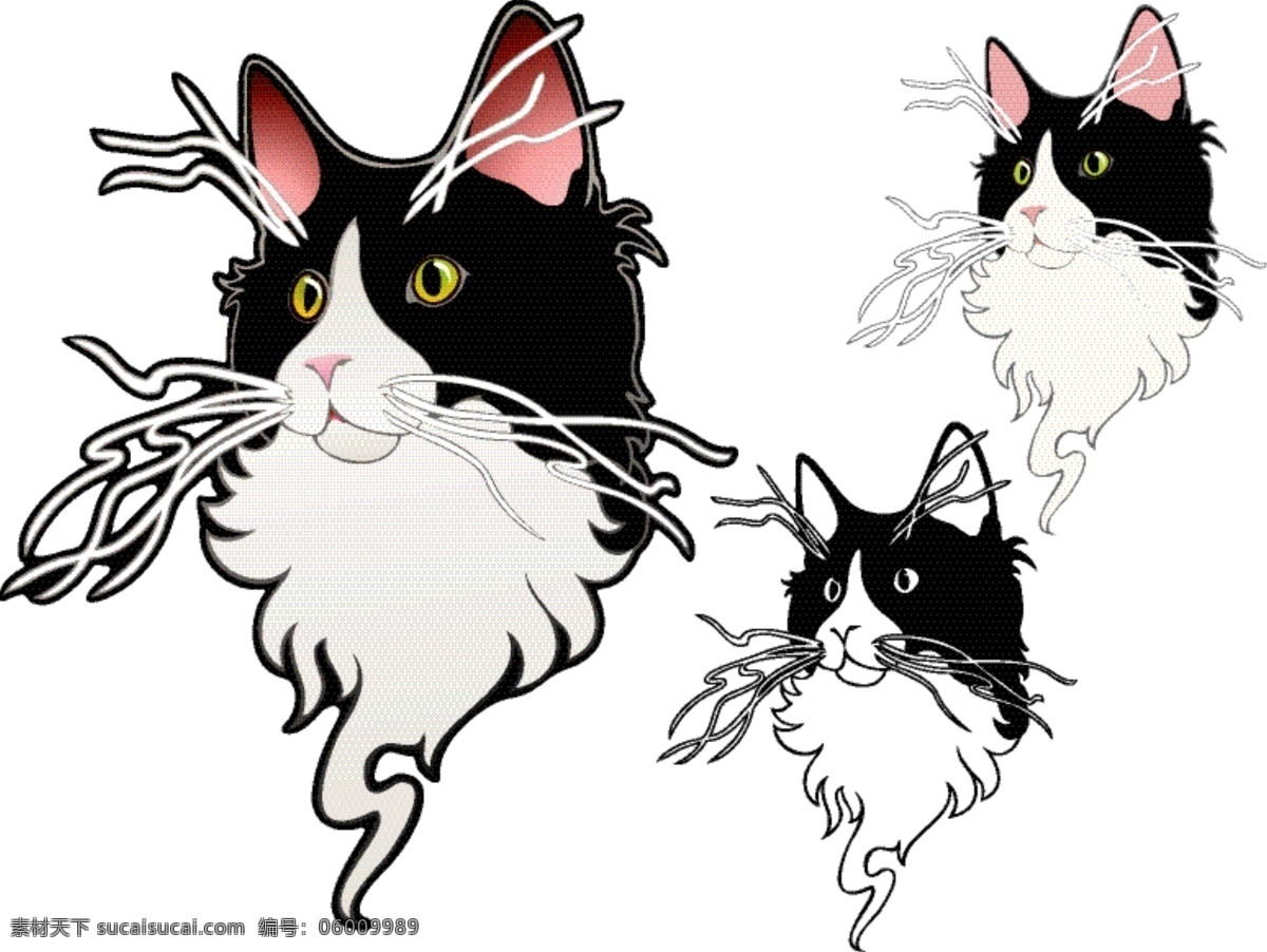 傻瓜的小猫 白色