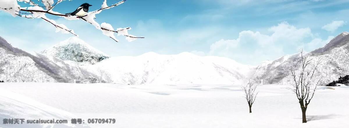冬日 晴空 雪地 树枝 喜鹊 淘宝 banner 背景 雪花 雪山 风景