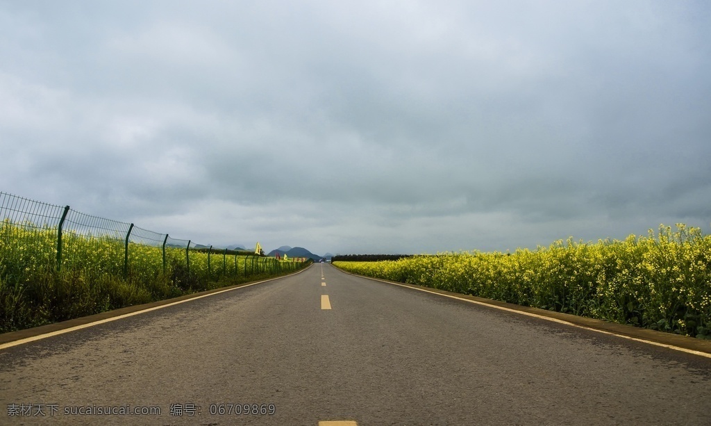 油菜花 公路 田园风光 油菜花海 花田背景 花草背景 蓝天白云 延伸的公路 柏油公路 边防公路 呼伦贝尔旅游 弯曲的河 额尔古纳河 俄罗斯 分隔线 自然景观 自然风景