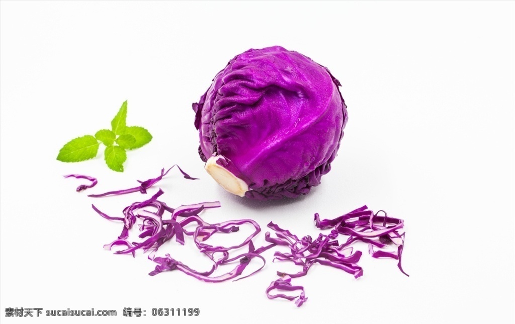 紫包菜 紫甘蓝 红甘蓝 紫洋白菜 紫茴子白 包菜 蔬菜 食物 食材 餐饮美食 食物原料 食物原料01