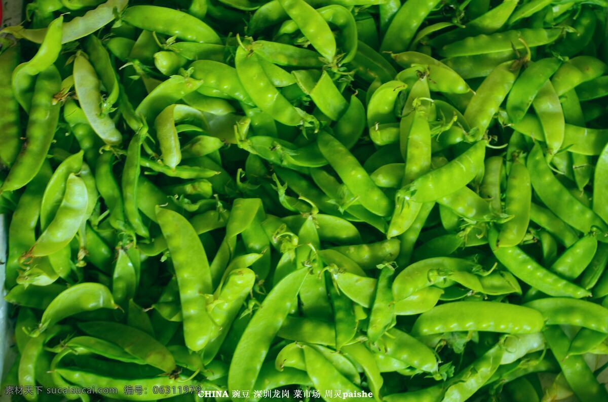 豆类 零售 绿色食品 生物世界 市场 蔬菜 豌豆 荷兰豆 薄皮 青嫩 豆梗 豆皮 豆籽 龙岗 销售 蔬菜总汇 生物景观 风景 生活 旅游餐饮