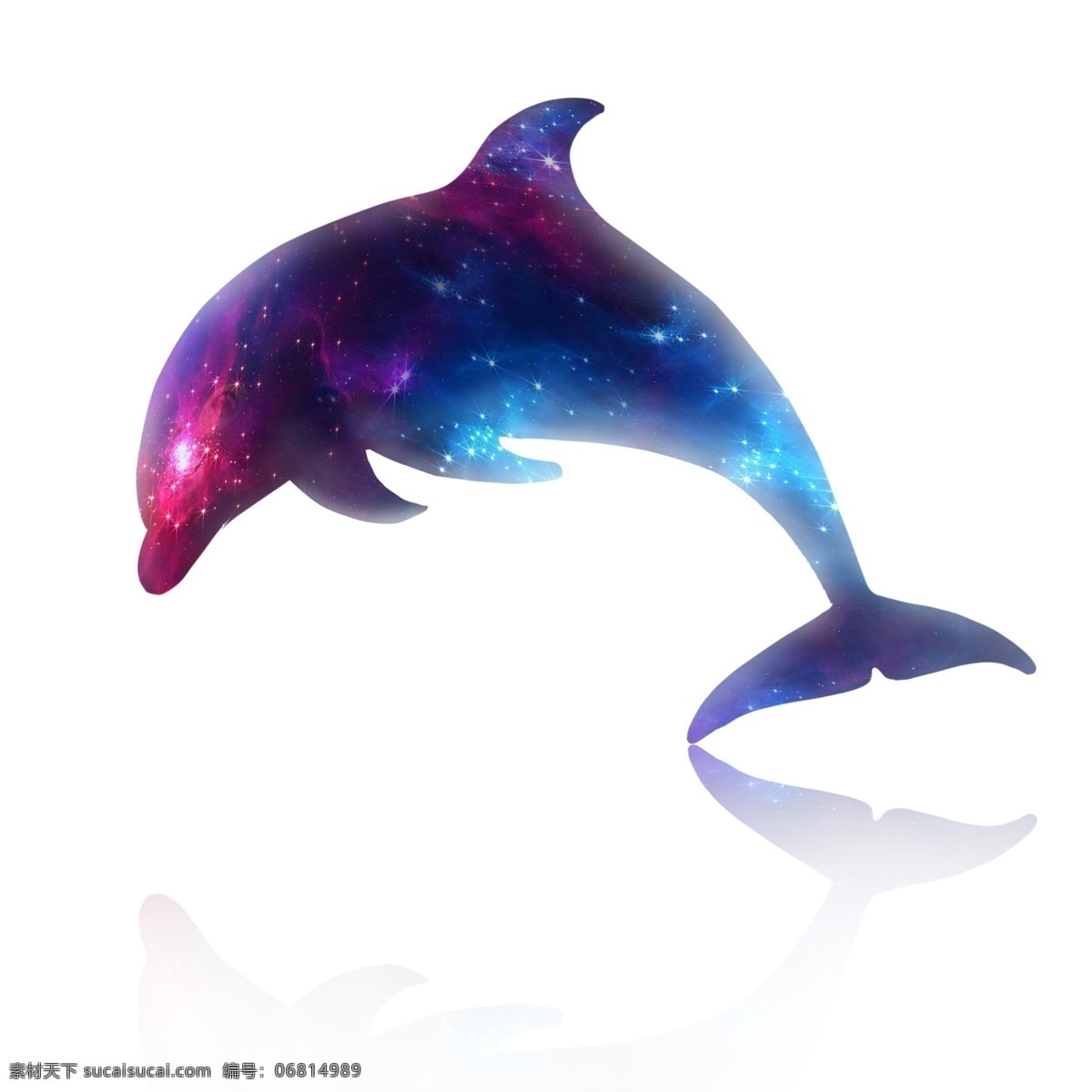 多彩 星空 海豚 商用 元素 紫色 蓝色 pad