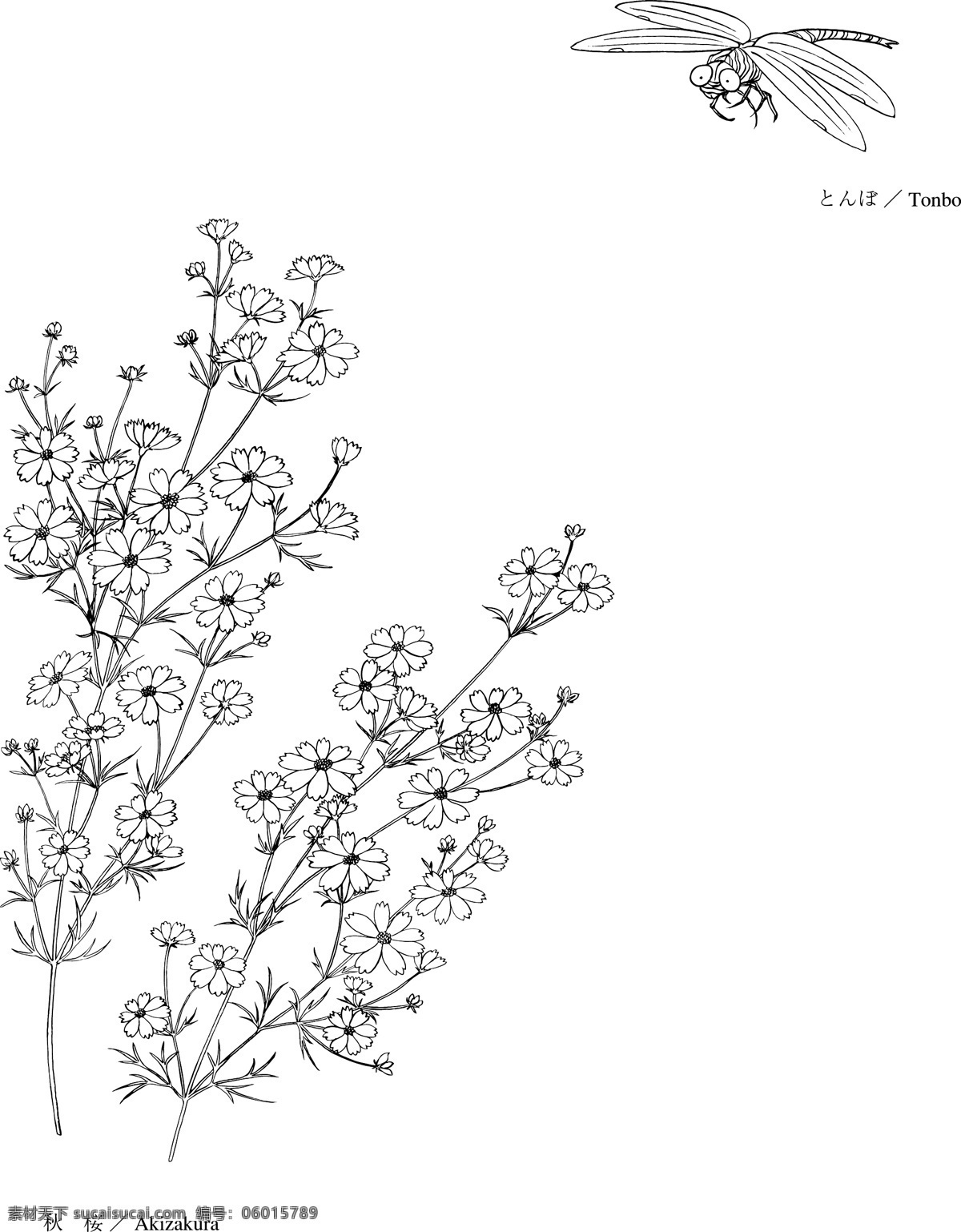 日本矢量花草 矢量eps 08akizakura 花朵 花草 花纹 日本矢量素材 设计素材 花草世界 矢量植物 矢量图库 白色