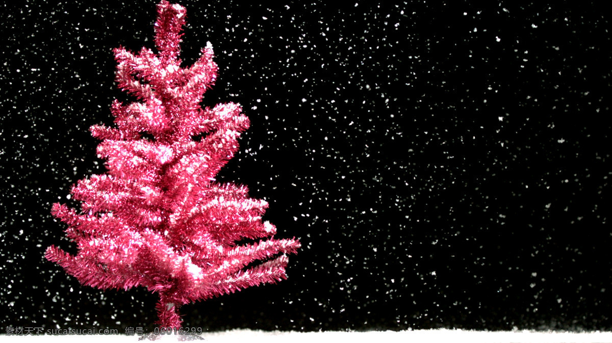 白雪 下 红色 圣诞树 美轮美奂 圣诞节 视频素材 冬季 抠像