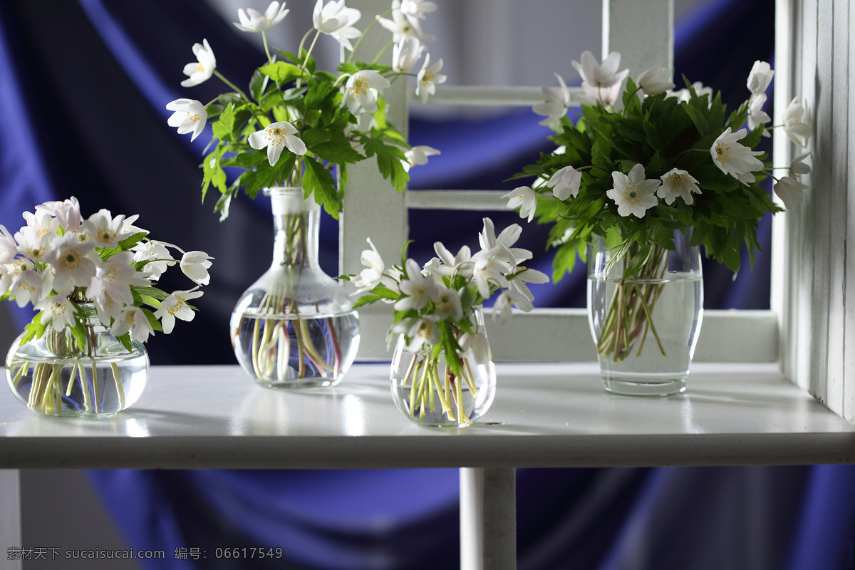 桌子上的雪花 美丽鲜花 白色花朵 漂亮花朵 花瓶 花卉 鲜花摄影 花草树木 生物世界 黑色