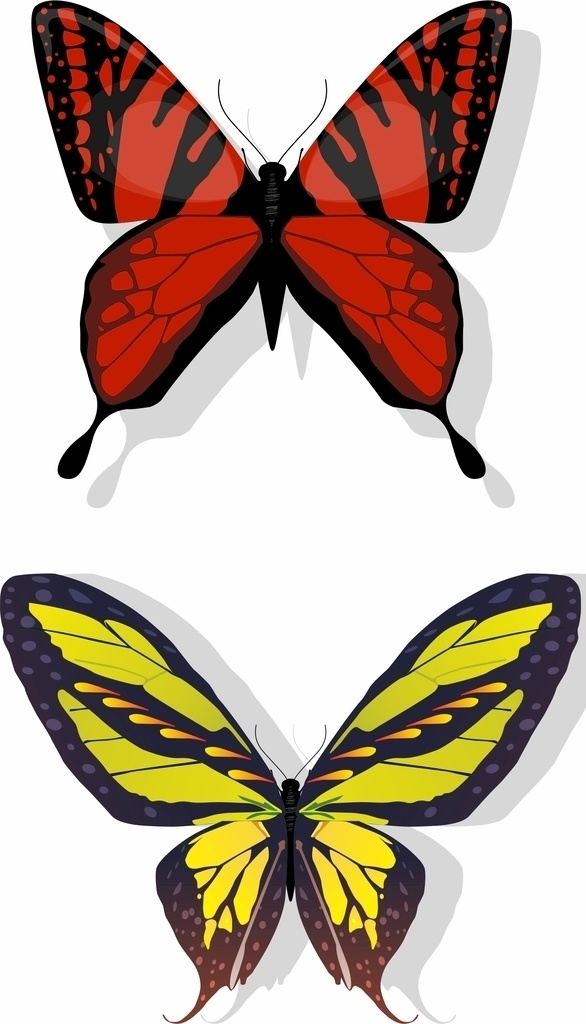 蝴蝶 矢量图片 矢量 昆虫 矢量素材 矢量蝴蝶 矢量素材动物