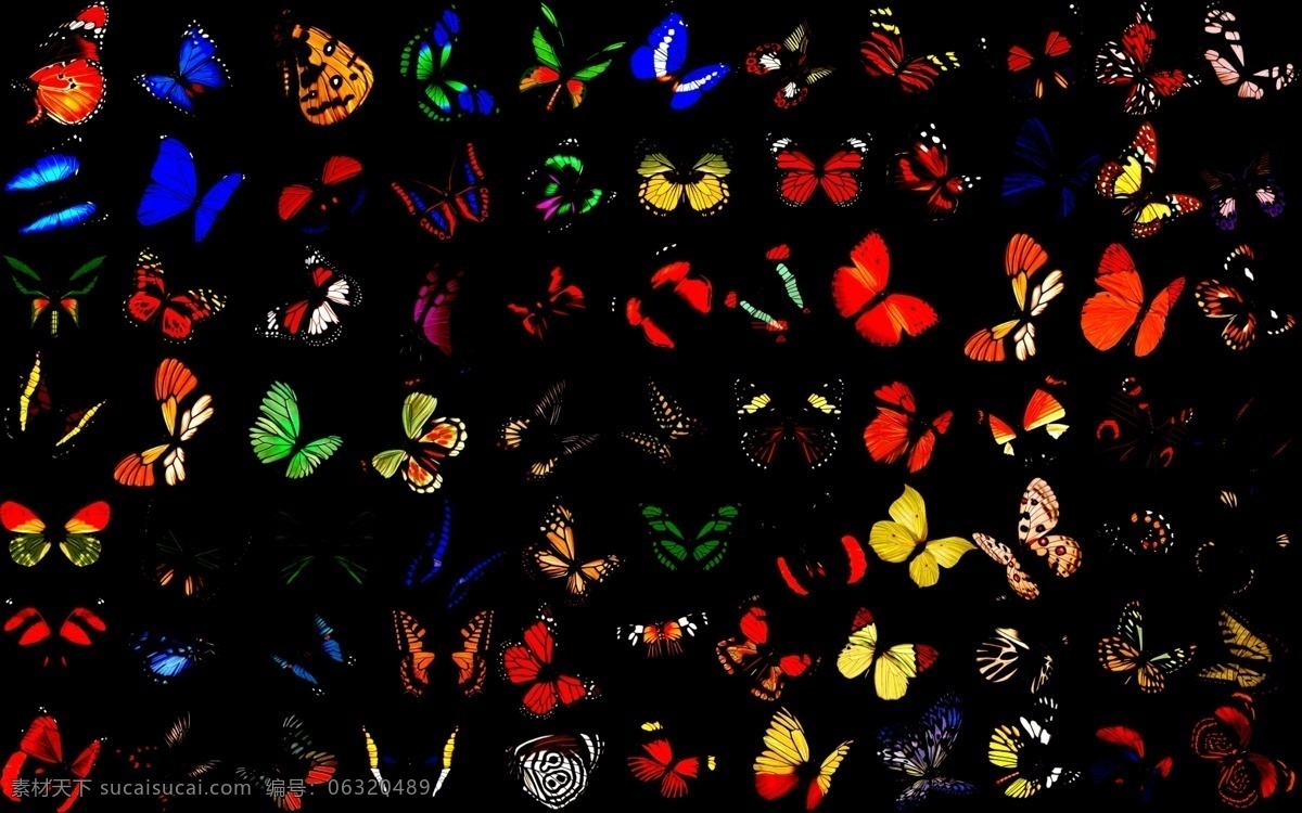蝴蝶免费下载 彩色蝴蝶 动物素材 蝴蝶 矢量图 其他矢量图
