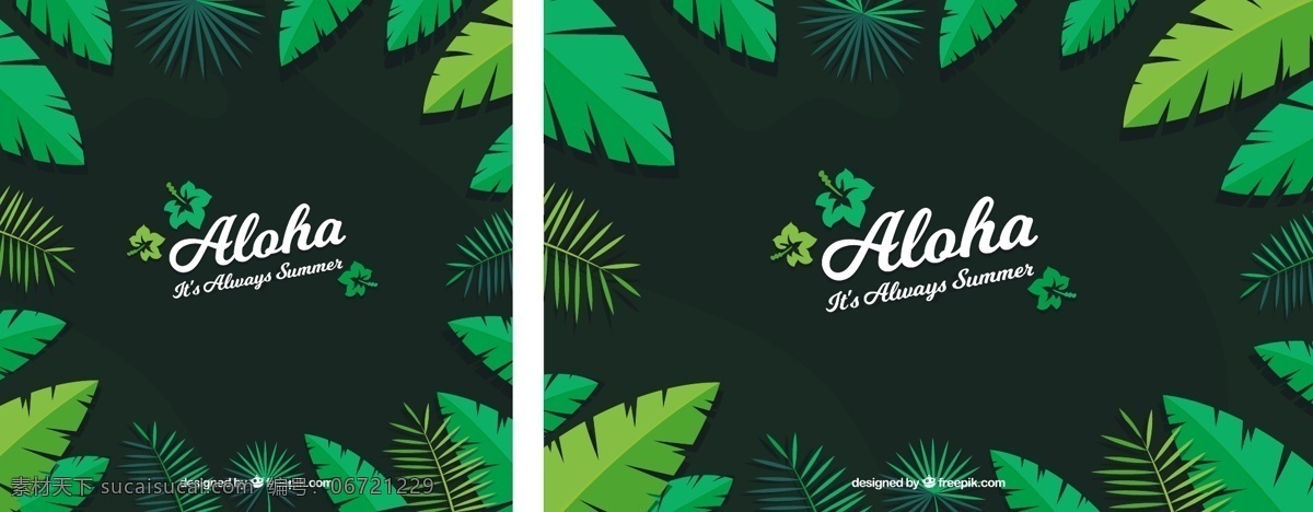 aloha 树叶 背景 花卉 夏季 绿色 绿色背景 热带 平 花卉背景 平面设计 背景绿化 绿叶 夏威夷 季节 热带花卉 背景花