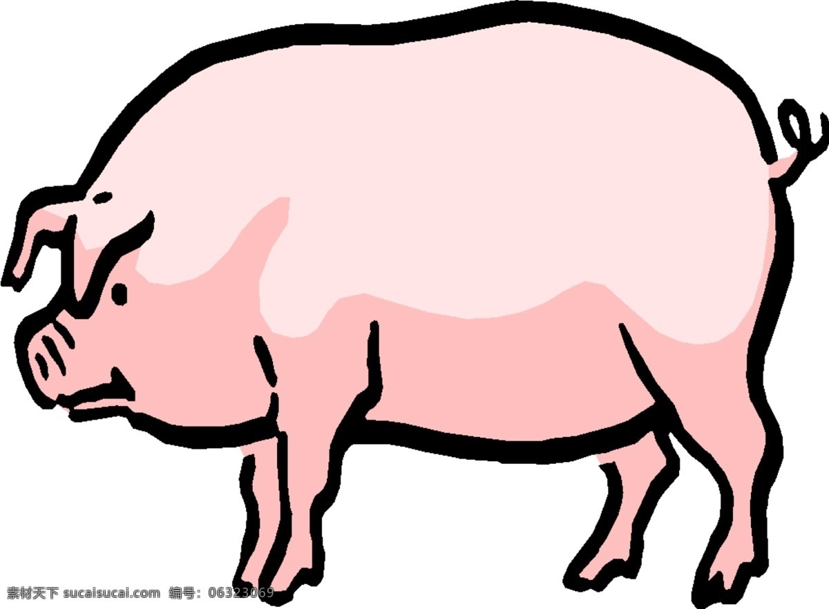 生肖 猪 家 家禽 家畜 矢量图 生物 世界 矢量 家猪 其他矢量图