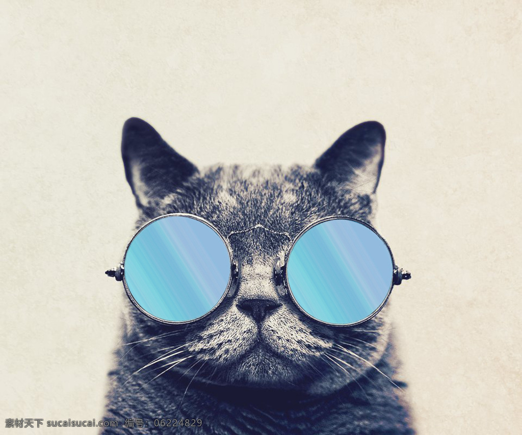 戴 眼镜 微笑 猫 戴眼镜 卡通 动漫 可爱