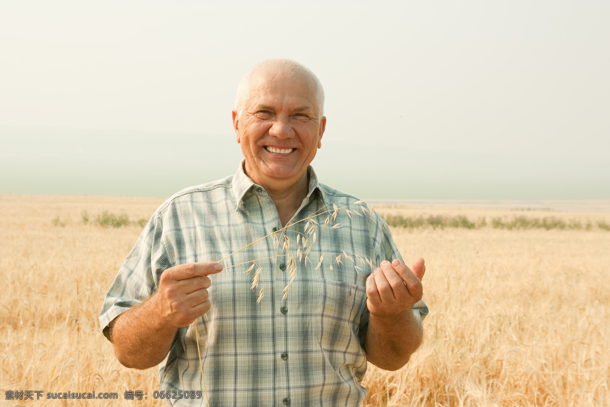 麦田里 老年人 麦田风景 老人 欧美男性 外国男士 美丽风景 风景摄影 美丽景色 麦地 小麦 麦子 农业生产 现代科技