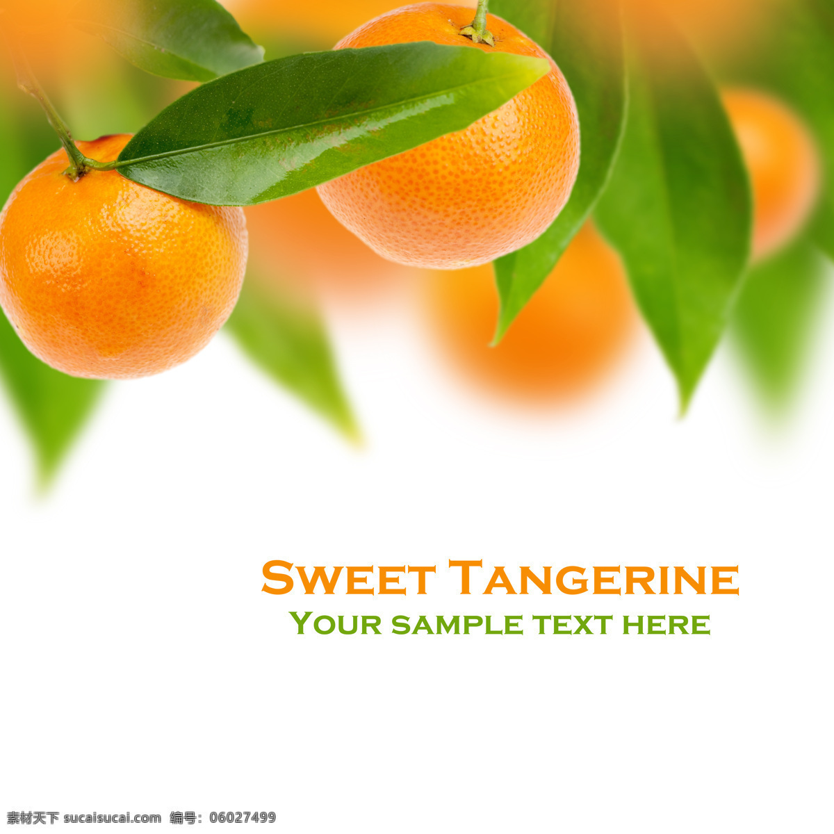 橘子背景 新鲜水果 水果背景 水果摄影 水果蔬菜 餐饮美食 白色