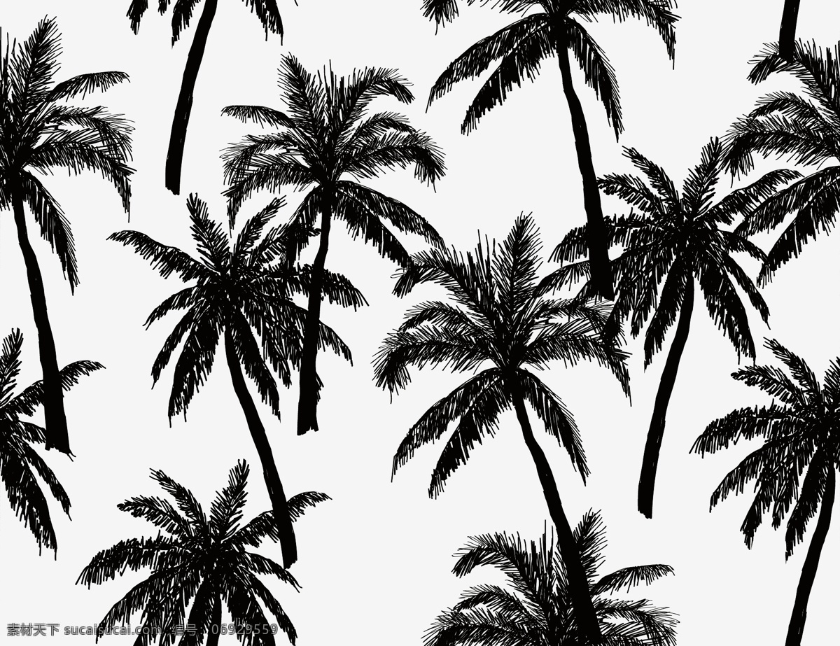 热带叶子 椰子叶 椰子树 棕榈叶 男装 文化艺术 绘画书法