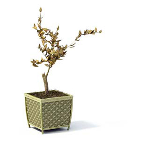 3d 室内 室外 装饰 植物 盆景 盆栽 模型 3d室内 3d模型素材 动植物模型