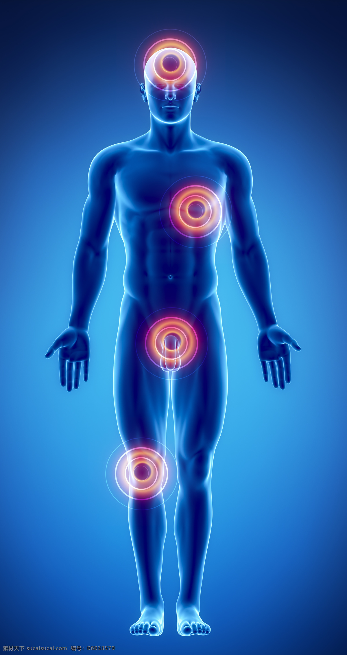 男性 人体 结构 膝关节 关节炎 男性人体器官 医疗科学 医学 人体器官图 人物图片