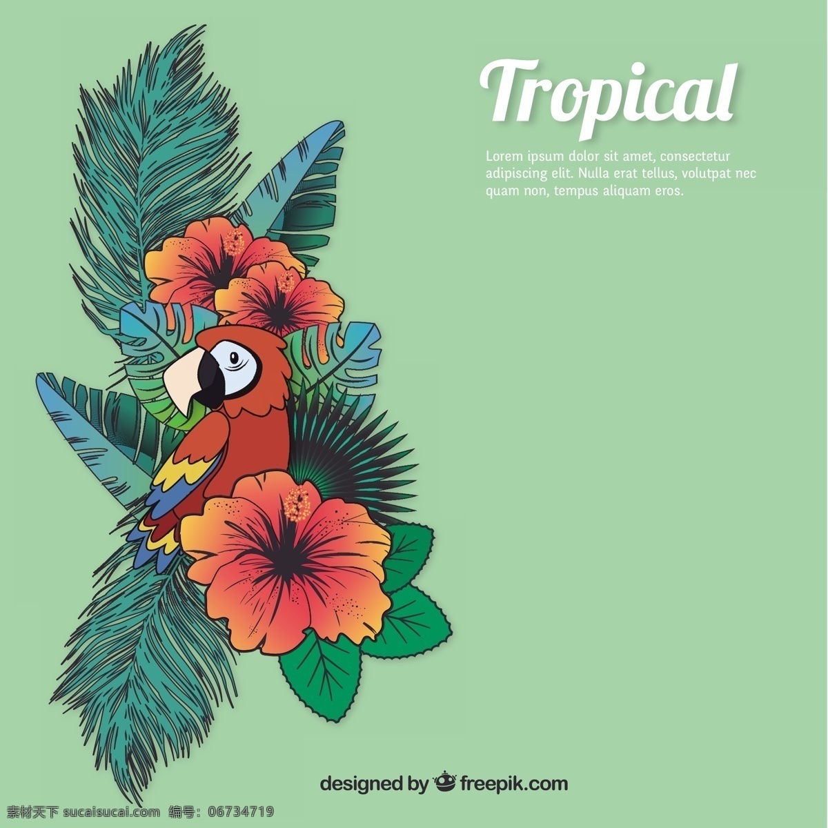 热带自然背景 背景 花卉 自然 模板 动物 花卉背景 丛林 植物 热带 鹦鹉 自然背景 绿色