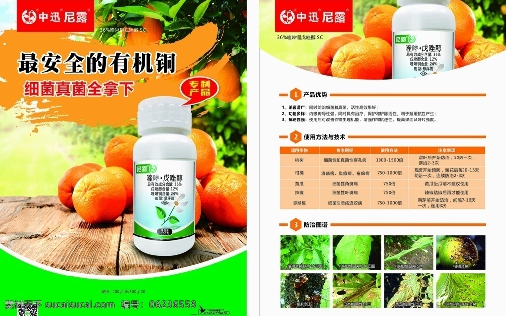 柑橘 农药 尼露 椪柑 中讯 分层