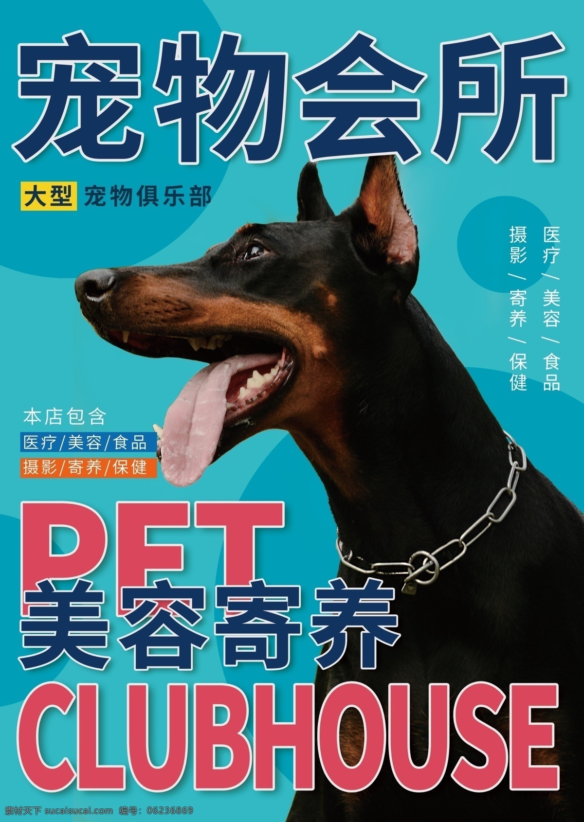 时尚 宠物 会所 单 页 宠物店海报 宠物海报 宠物狗狗宣传 猎狗
