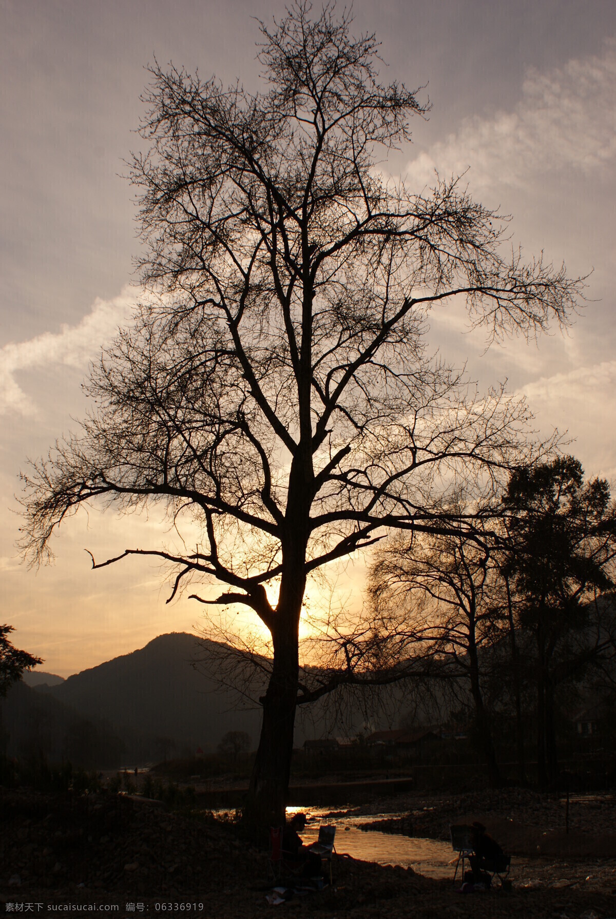 古树 夕阳 黄昏 剪影 落日 山水风景 树 自然景观 古树夕阳 晚照 psd源文件