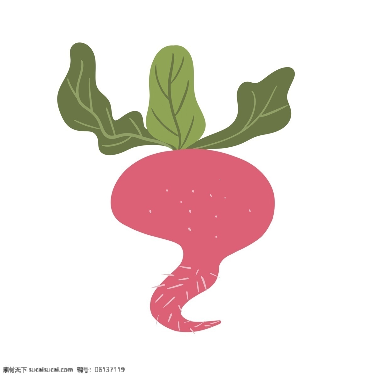 可爱 水 萝卜 蔬菜 卡通 手绘 红色 粉色 水萝卜 食物 美食 做菜 菜 种萝卜 拔萝卜 装饰
