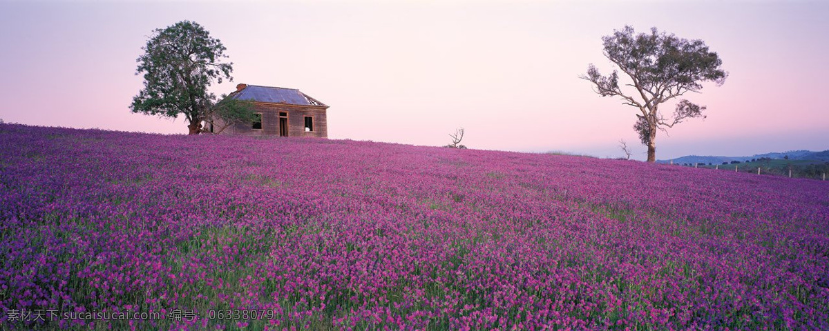 花丛 小屋 风景 海边 海风景 生活 旅游餐饮