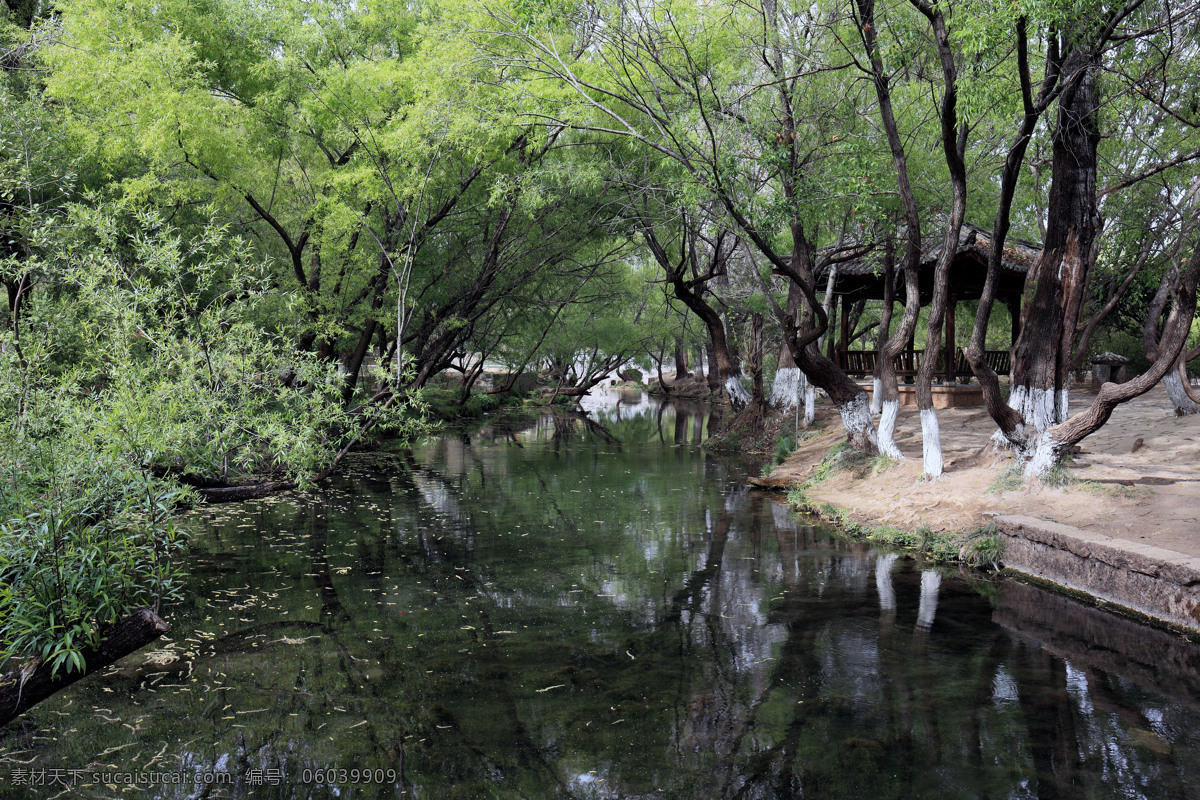 小河与树 云南 丽江 束河古镇 风景区 旅游 景点 景区 倒影 树木 植物 旅游摄影 国内旅游