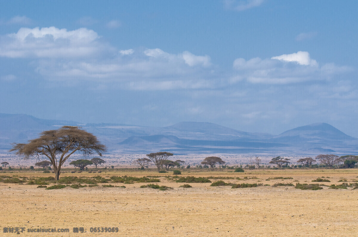 非洲 草原 美景 非洲草原风景 平面风景 美丽非洲风景 风景摄影 景色 自然风景 自然景观 蓝色