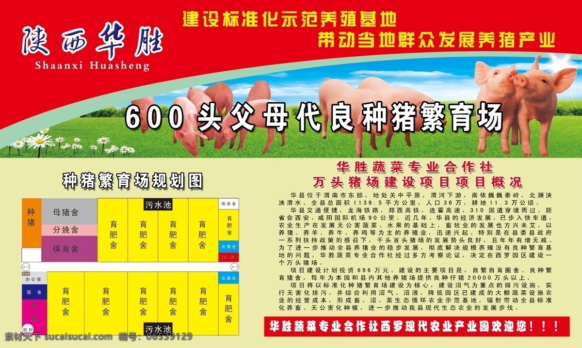 种猪 繁育场 广告牌 平面图 群猪 蓝天白云 项目概况 太阳 花草 群猪吃草 黄背景 展板模板 广告设计模板 源文件